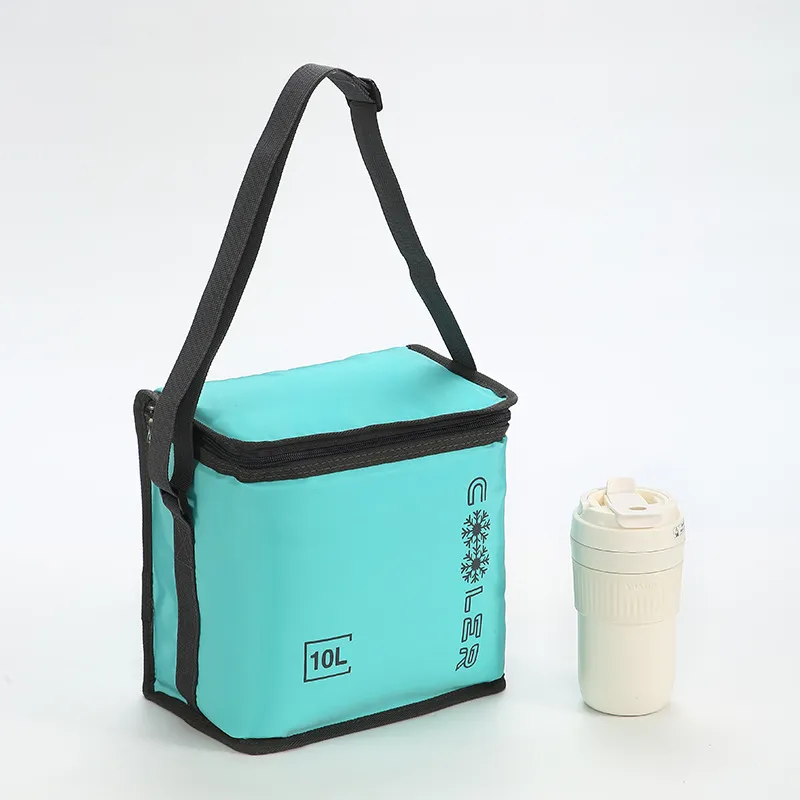 Custom logo printed insulated cooler bag in 10L with snowflake print